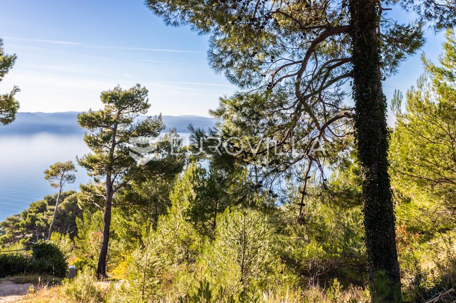 Terrain À vendre - Splitsko-dalmatinska Brela - foto 3/3