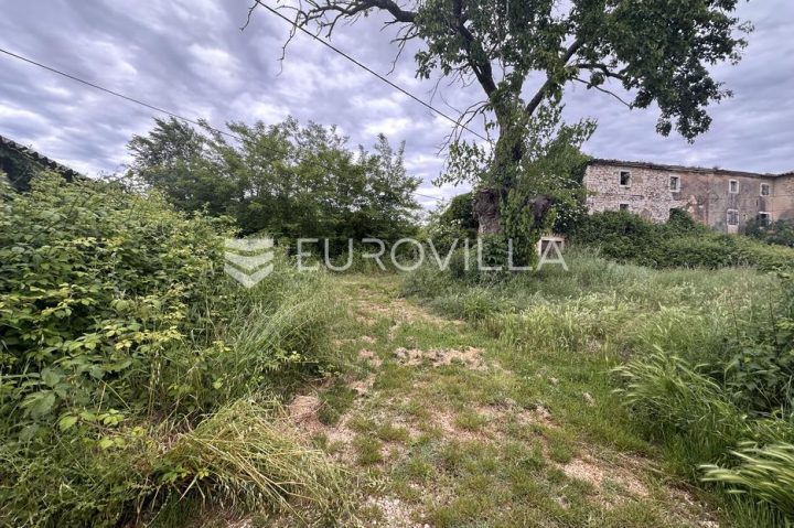 Land for sale 4968 m² – Staniši
