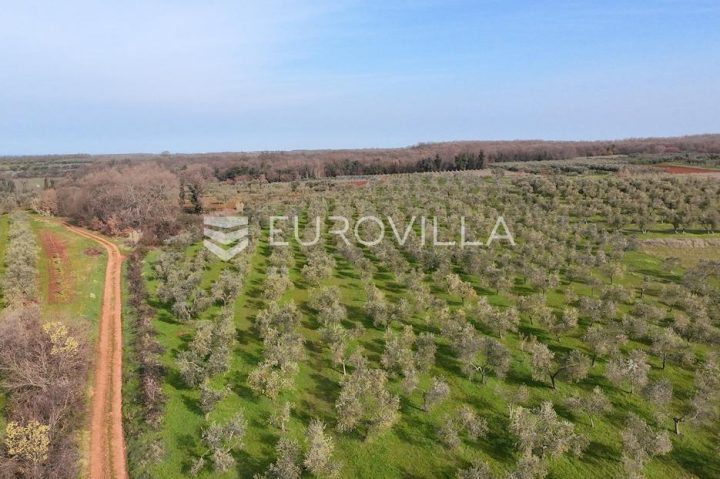 Terrain À vendre - Istarska Brtonigla - foto 3/14