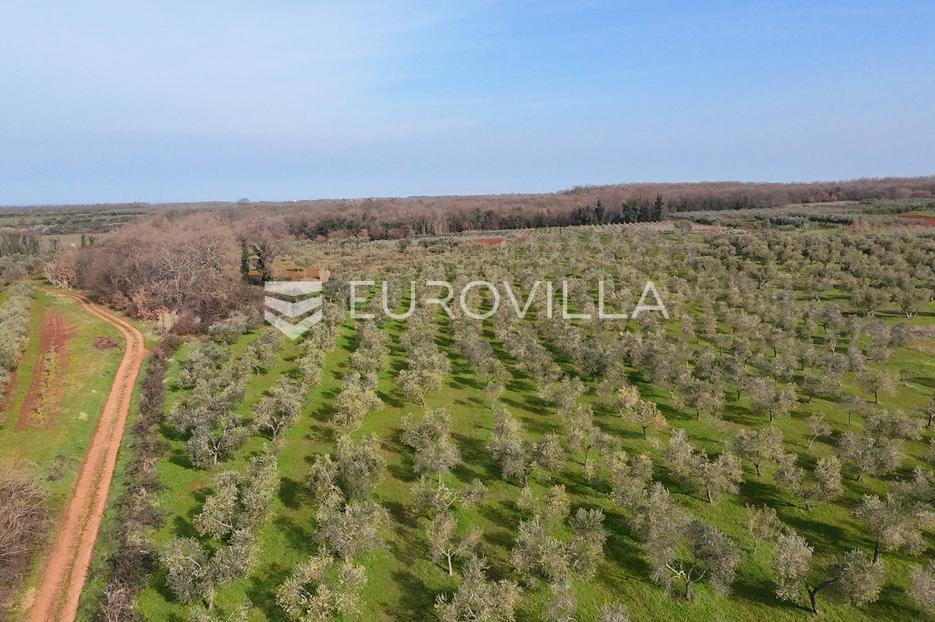 Terreno In vendita - Istarska Brtonigla - foto 1/14