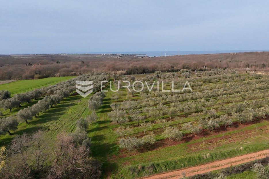 Terreno In vendita - Istarska Brtonigla