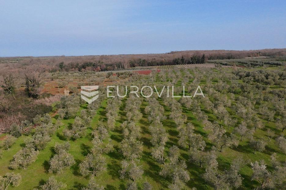 Terreno In vendita - Istarska Brtonigla