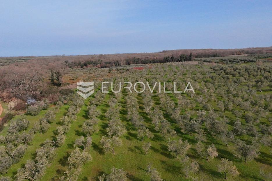 Terreno In vendita - Istarska Brtonigla