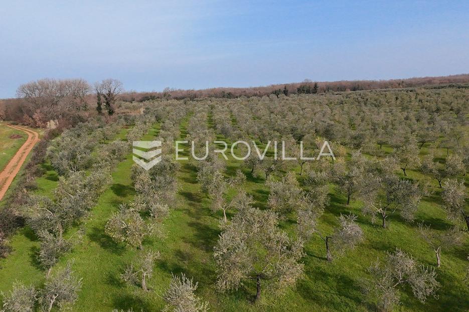 Terreno In vendita - Istarska Brtonigla