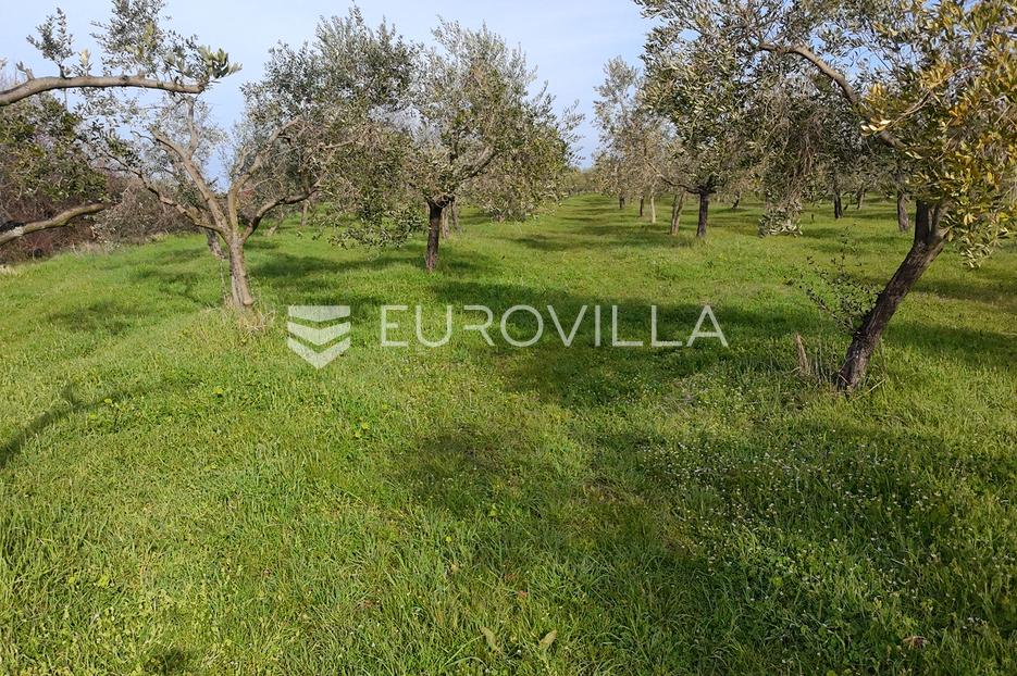 Terreno In vendita - Istarska Brtonigla