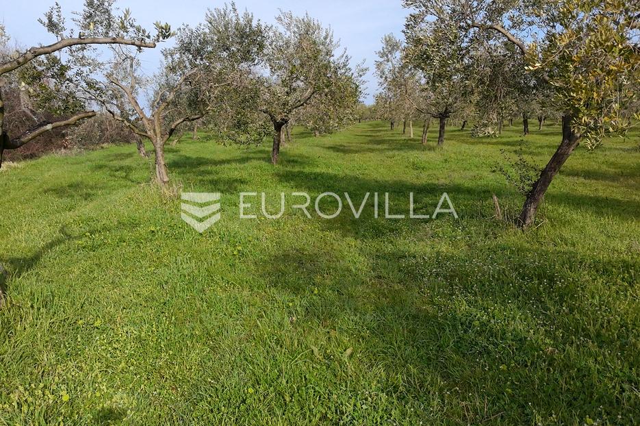 Parcela Naprodaj - Istarska Brtonigla