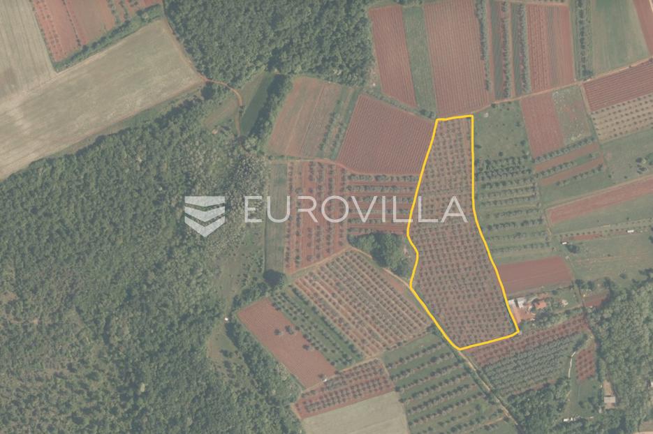 Terreno In vendita - Istarska Brtonigla - foto 2/14