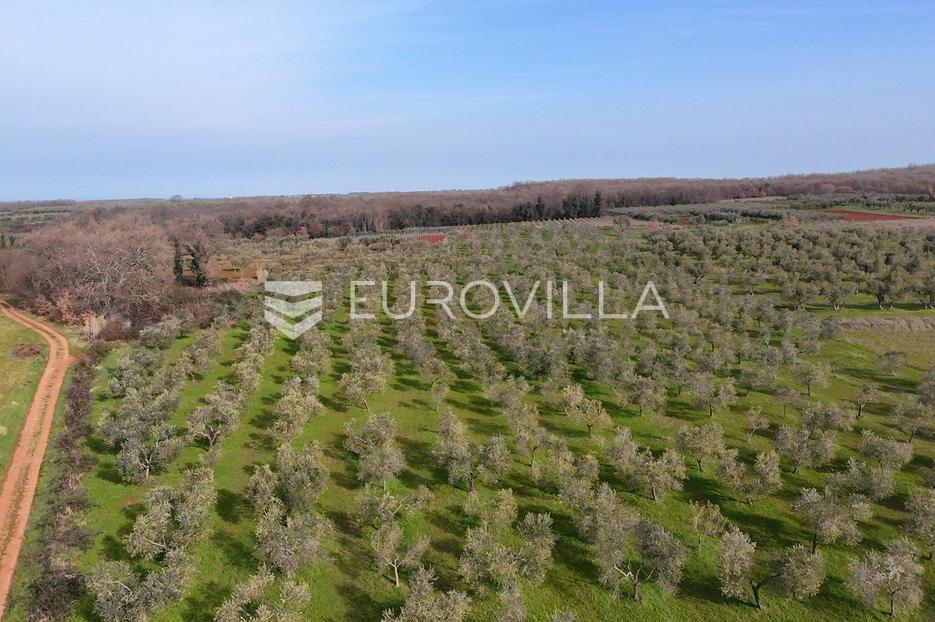 Terreno In vendita - Istarska Brtonigla - foto 4/14
