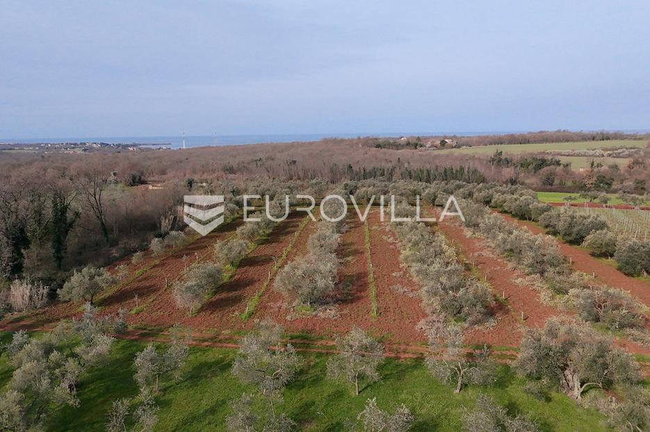 Terreno In vendita - Istarska Brtonigla - foto 5/14