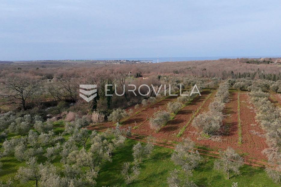 Terreno In vendita - Istarska Brtonigla