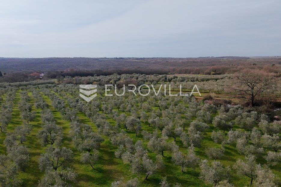 Terreno In vendita - Istarska Brtonigla