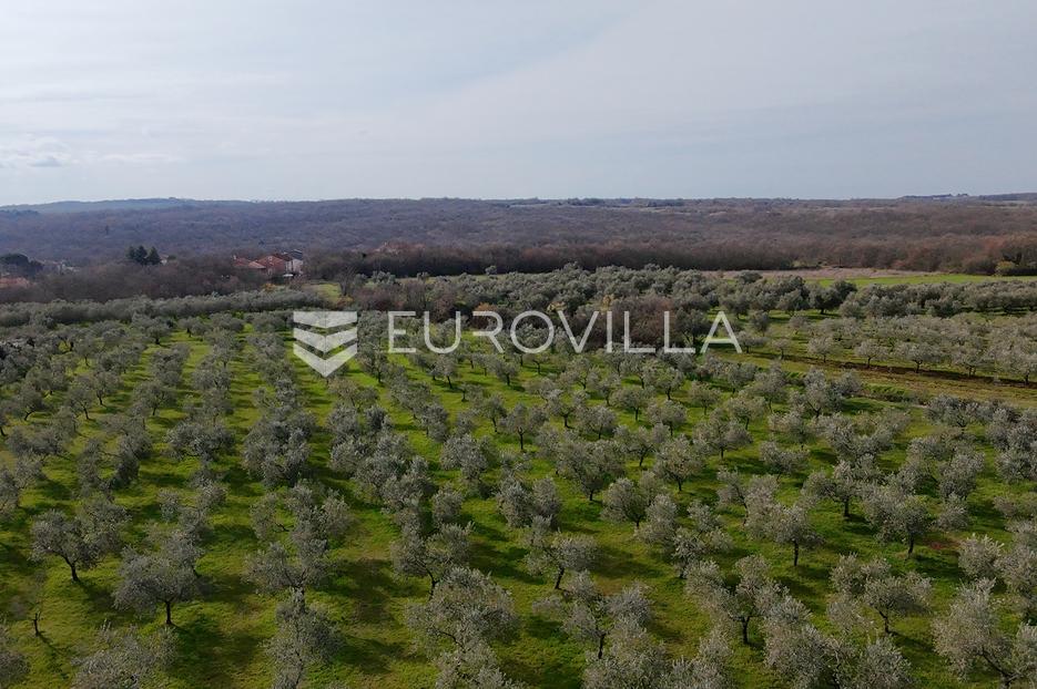 Terreno In vendita - Istarska Brtonigla