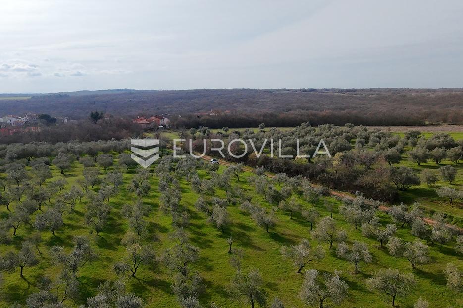 Terreno In vendita - Istarska Brtonigla