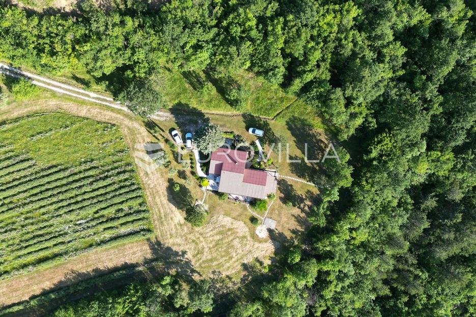 Casa In vendita - Istarska Pazin - foto 3/11
