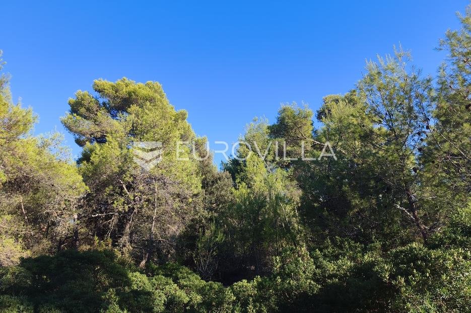 Terrain À vendre - Zadarska Vir