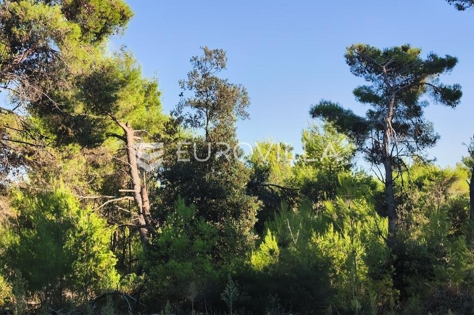 Terrain À vendre - Zadarska Vir