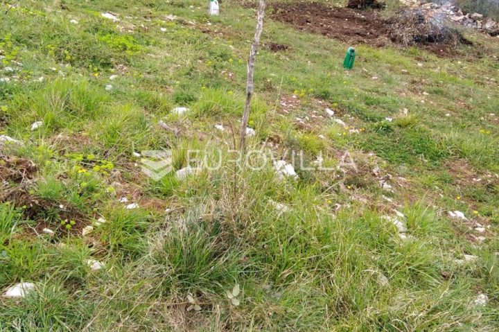 Terrain À vendre - Istarska Marčana - foto 3/3