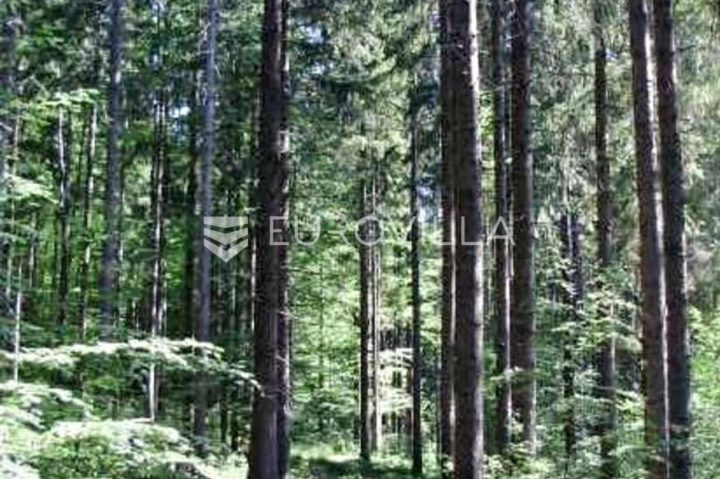 Terreno in vendita 3496 m² – Kupjak