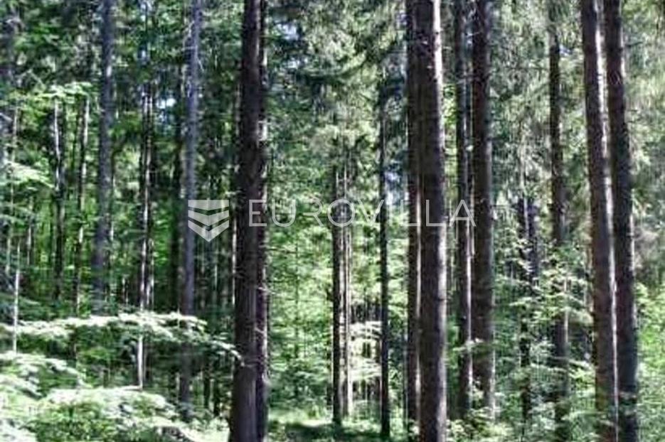 Zemljište Na prodaju -  Ravna Gora