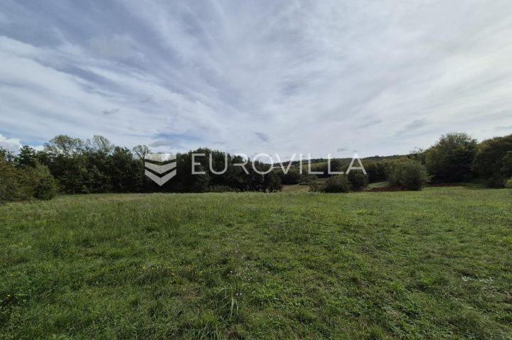 Pozemek na prodej 1065 m² – Rakotule