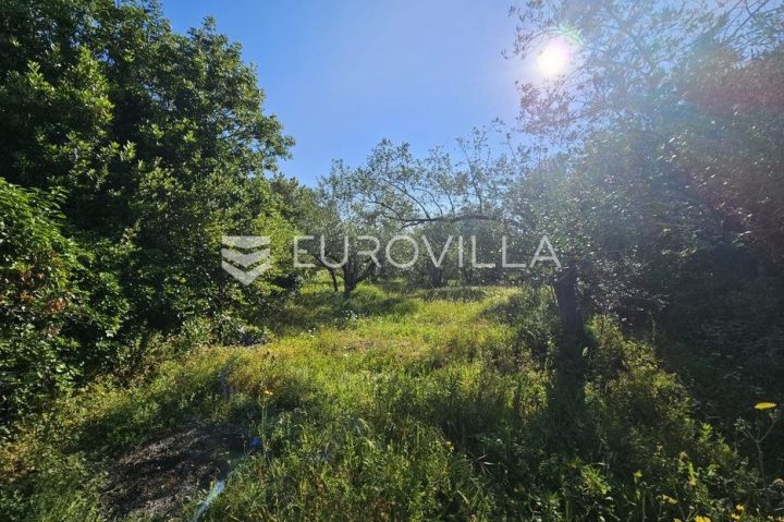 Terrain À vendre - Zadarska Preko - foto 2/2