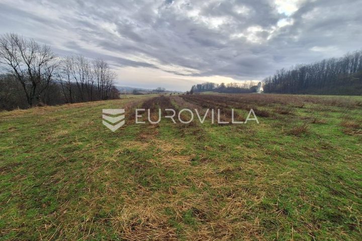 Zemljište na prodaju 5395 m² – Mala Švarča