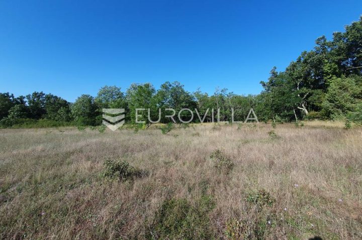 Terreno in vendita 12120 m² – Baderna