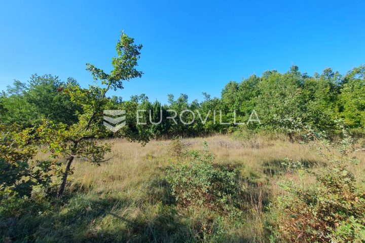 Grundstück Zu verkaufen - Istarska Poreč - foto 5/15