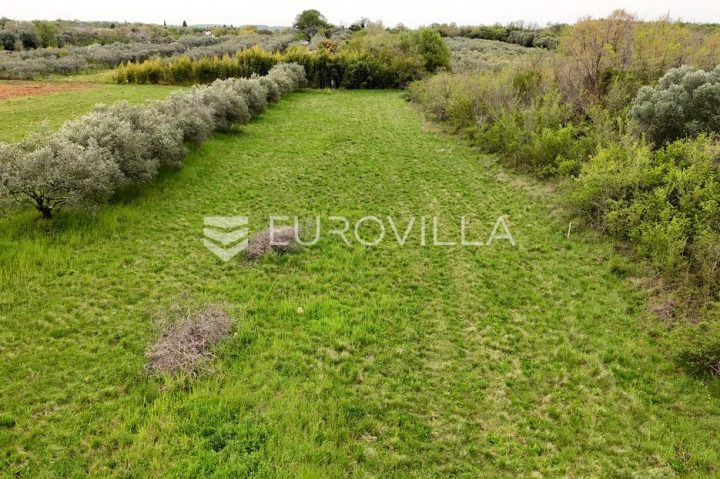 Pozemek na prodej 506 m² – Umag