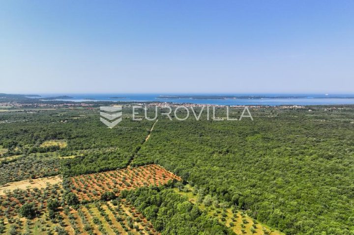 Land For sale - Istarska Vodnjan - foto 5/33