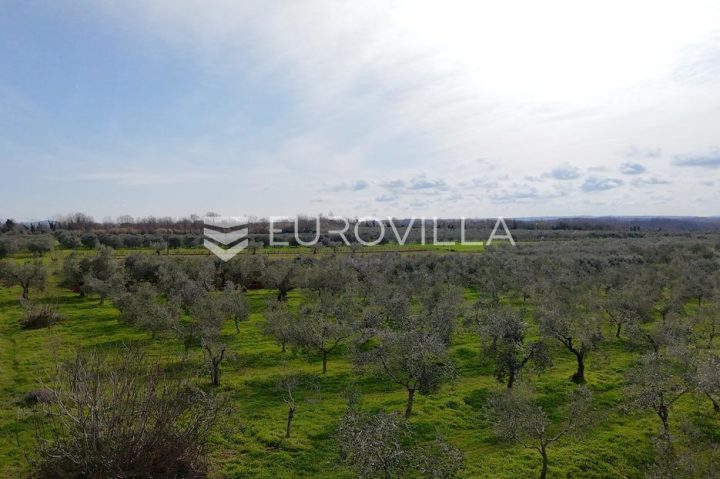 Pozemok na predaj 14690 m² – Brtonigla