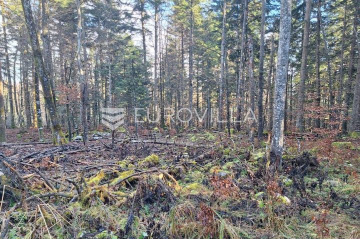Terreno in vendita 12860 m² – Bosiljevo