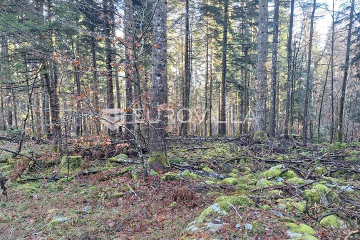 Terreno In vendita - Karlovačka Bosiljevo - foto 3/4