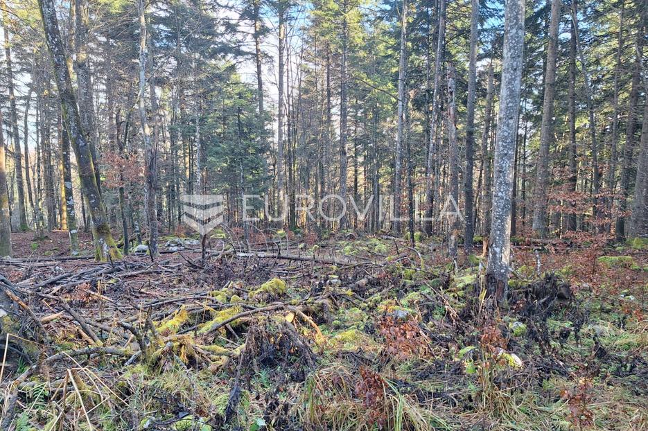 Terreno In vendita - Karlovačka Bosiljevo - foto 1/4