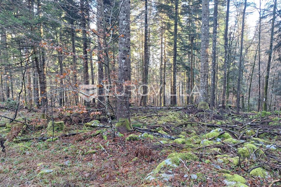 Terreno In vendita - Karlovačka Bosiljevo - foto 3/4