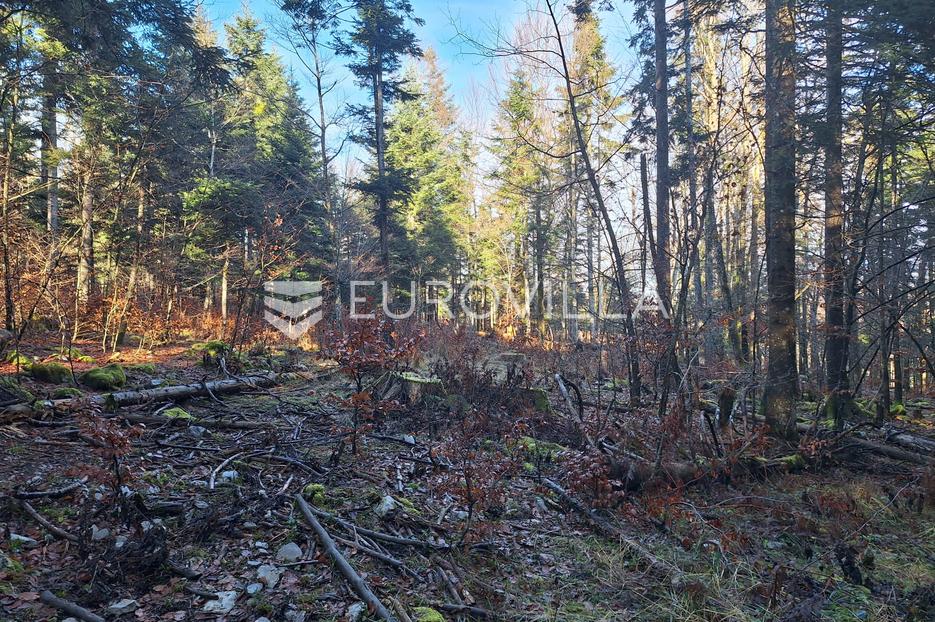 Terreno In vendita - Karlovačka Bosiljevo - foto 4/4