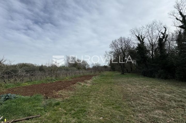 Pozemek na prodej 1252 m² – Filipana