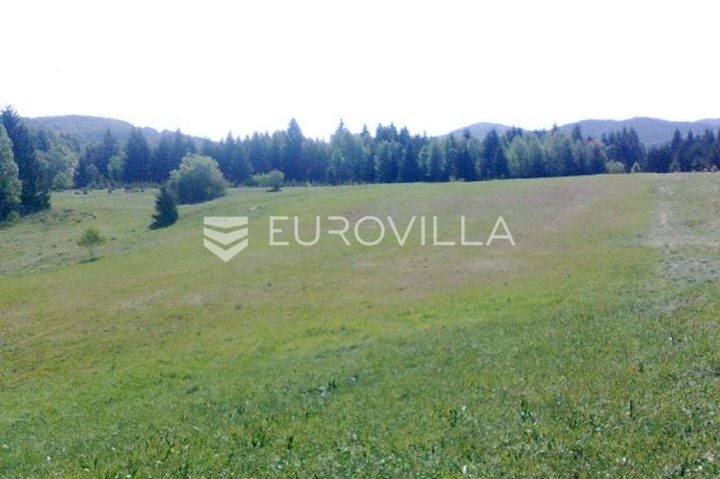 Zemljište na prodaju 4193 m² – Divjake