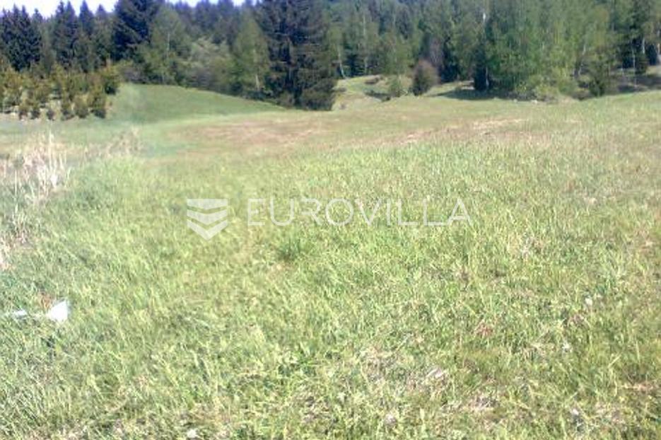 Pozemek Na prodej - Primorsko-goranska Skrad - foto 3/3