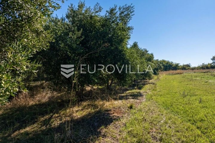 Terrain À vendre - Zadarska Škabrnje - foto 2/4