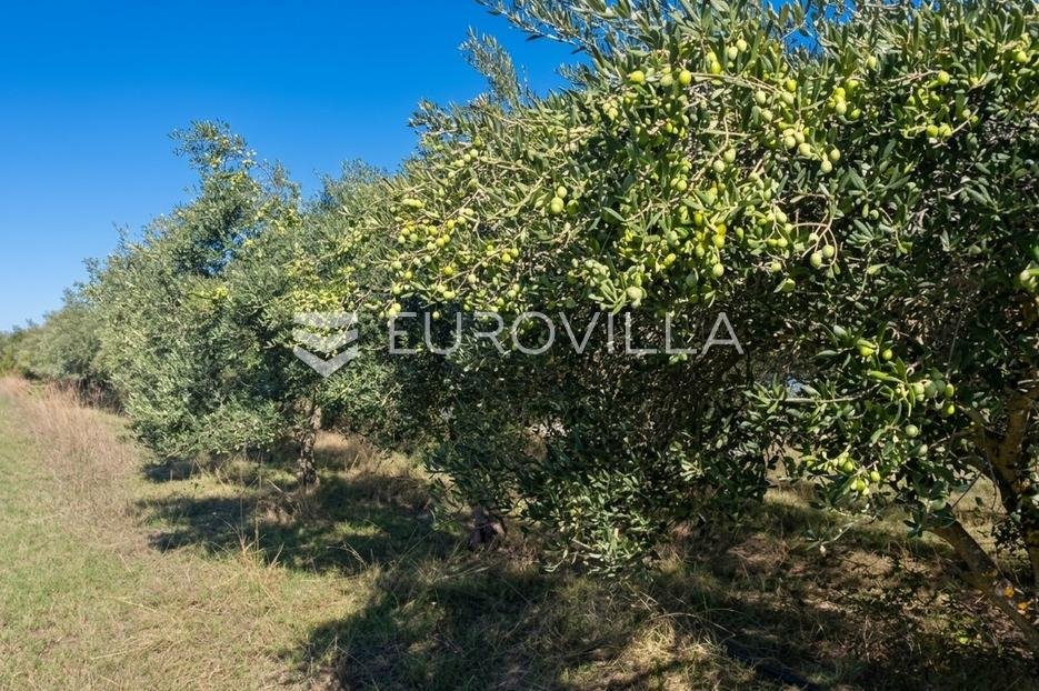 Terrain À vendre - Zadarska Škabrnje