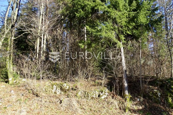 Land For sale - Primorsko-goranska Delnice - foto 5/6