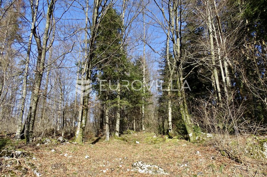 Land For sale - Delnice - foto 2/6