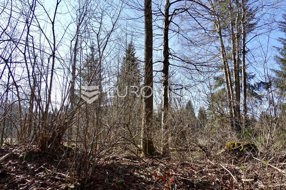 Land For sale - Delnice - foto 3/6