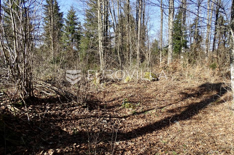 Land For sale - Delnice - foto 4/6