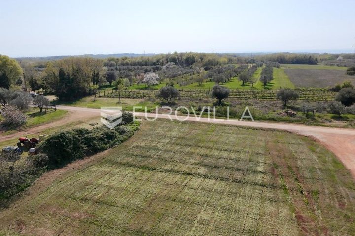 Zemljište Na prodaju - Istarska Brtonigla - foto 4/4
