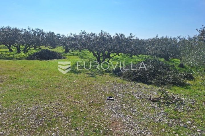 Land For sale - Splitsko-dalmatinska šolta - foto 2/11
