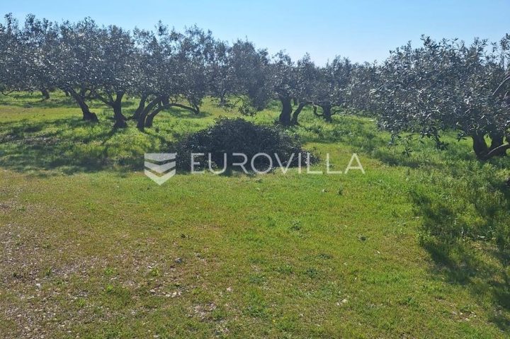 Land For sale - Splitsko-dalmatinska šolta - foto 3/11