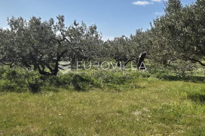 Land For sale - Splitsko-dalmatinska šolta - foto 4/11