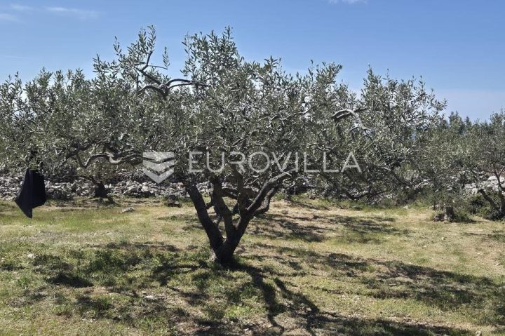 Land For sale - Splitsko-dalmatinska šolta - foto 5/11